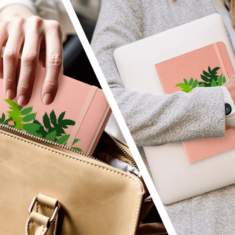Fern For Thoughts homepaintology