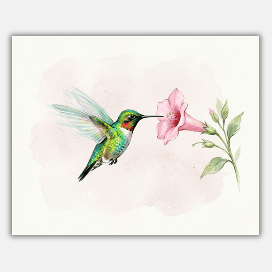 Hummingbird Flower PicturaNumbers