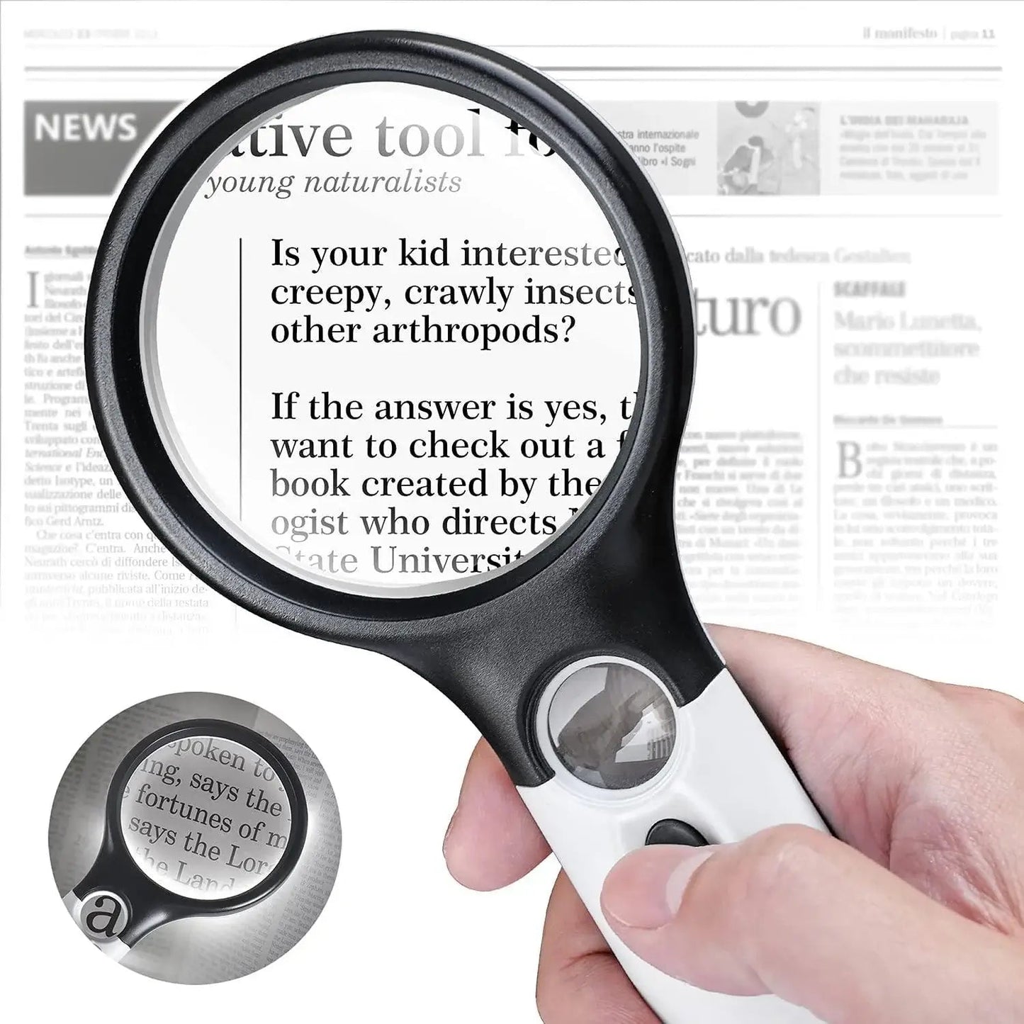 Magnifying Glass homepaintology