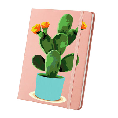 Succulent Stories