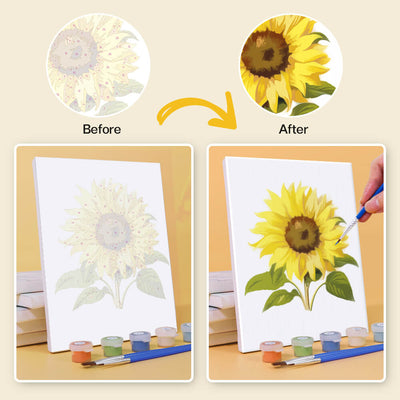 Floral Overture (6 set)