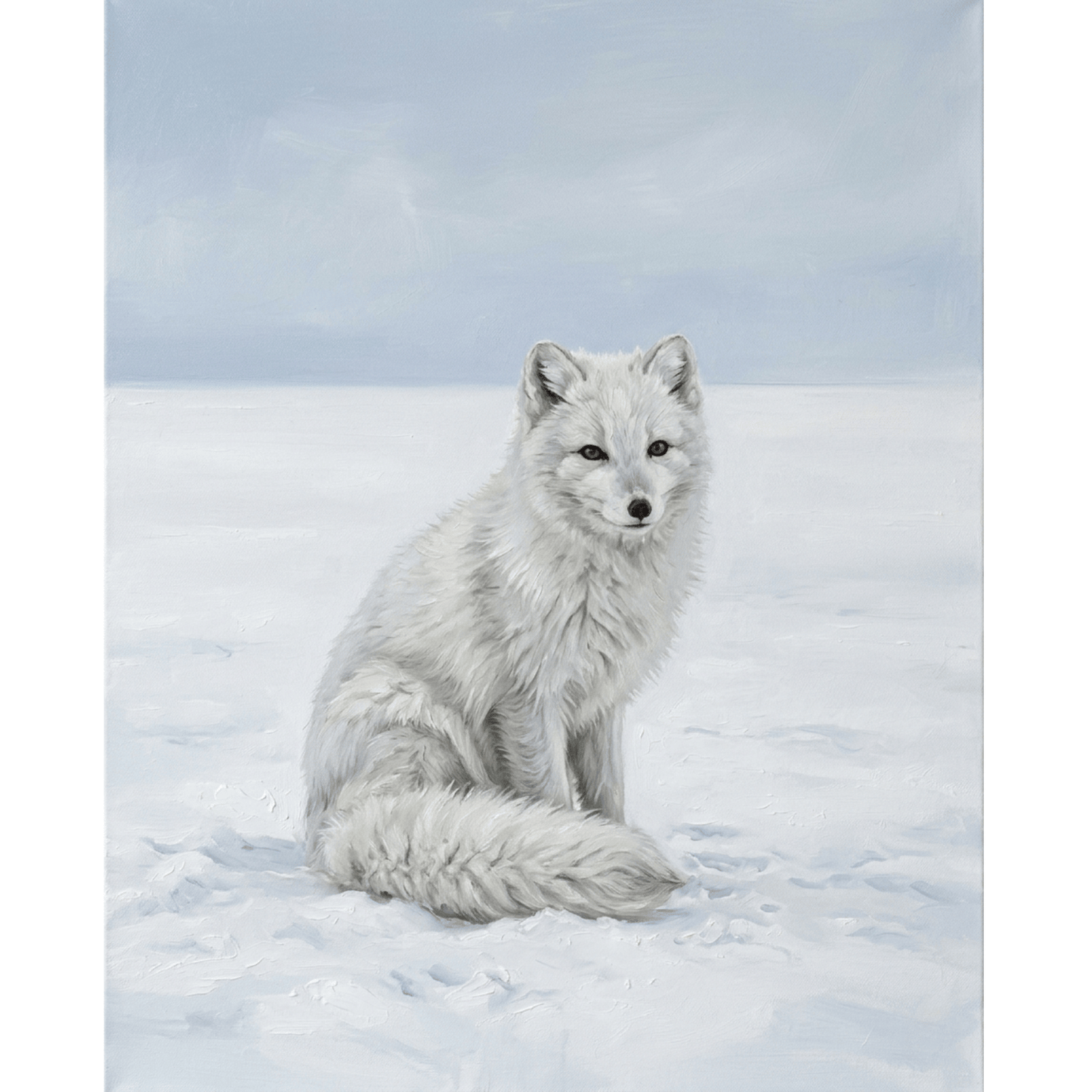Artic Fox Snowfield PicturaNumbers