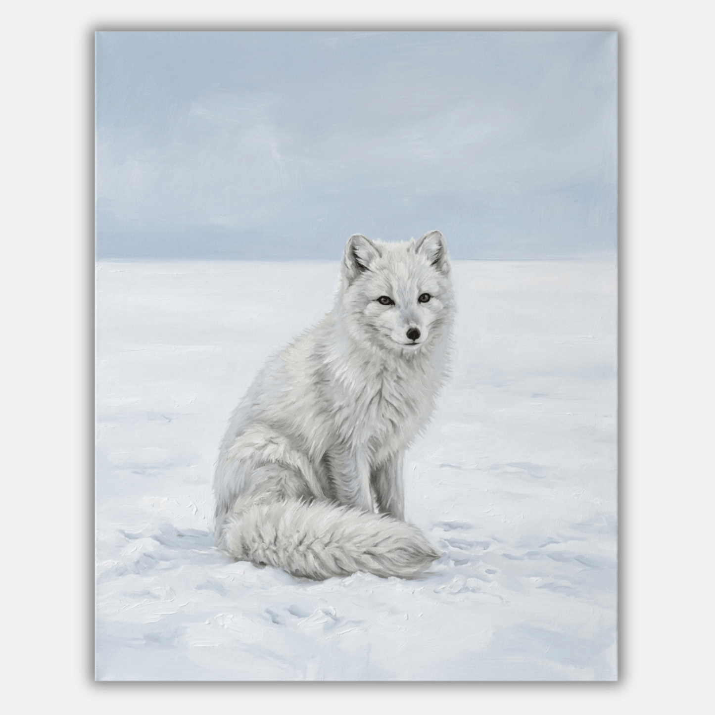 Artic Fox Snowfield PicturaNumbers
