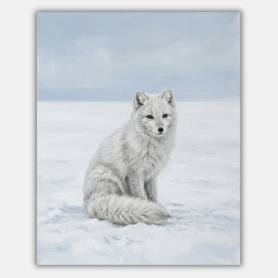 Artic Fox Snowfield