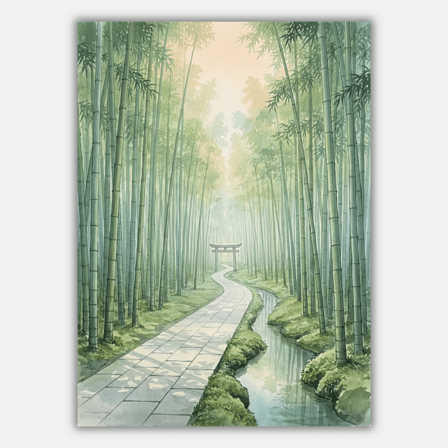 Bamboo Forest Kyoto Morning PicturaNumbers