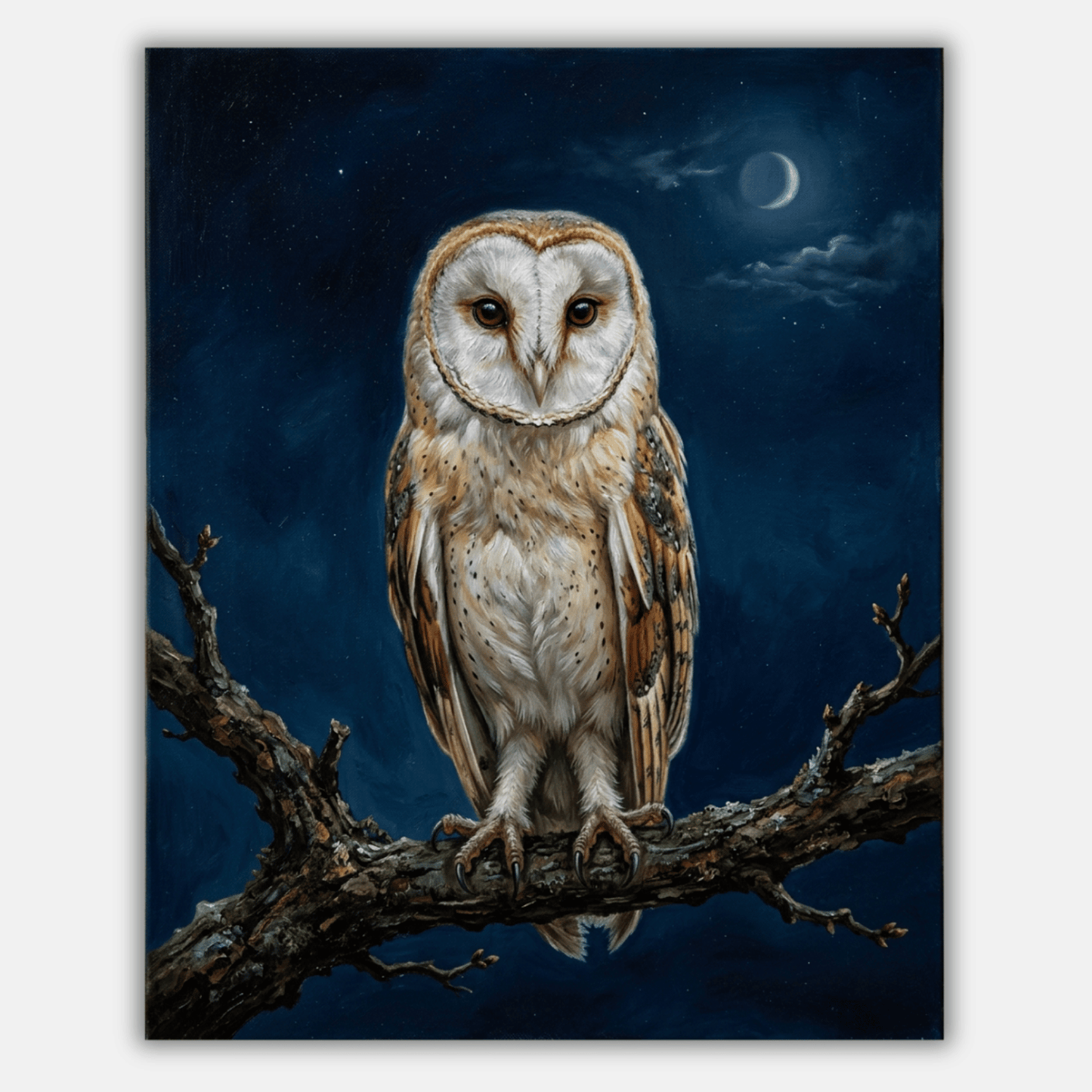 Barn Owl Branch PicturaNumbers