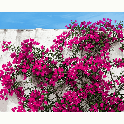 Bougainvillea Wall