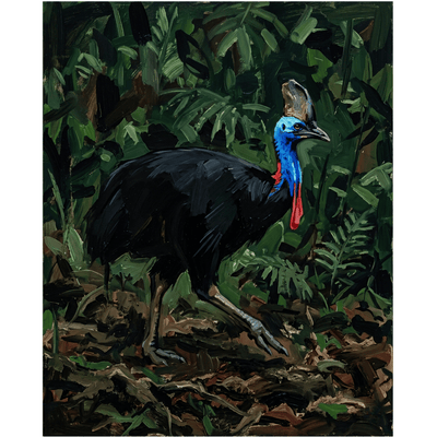 Cassowary Rainforest