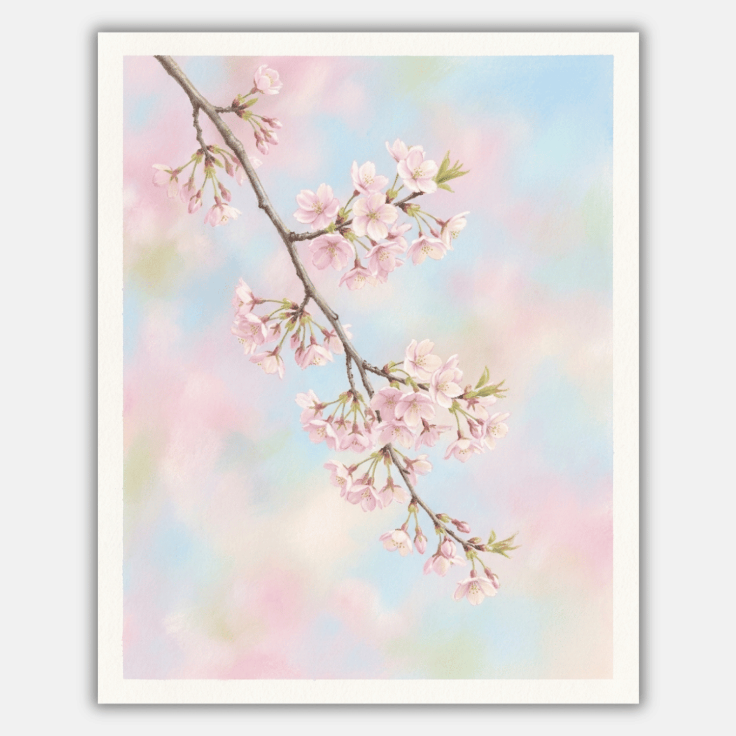 Cherry Blossom Branch PicturaNumbers