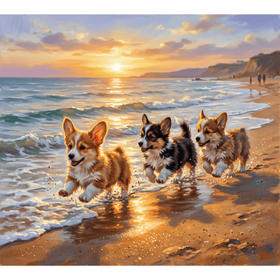 Corgi Puppies Beach Run