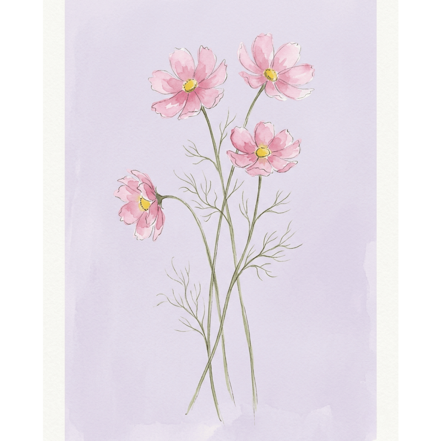 Cosmos Pink PicturaNumbers