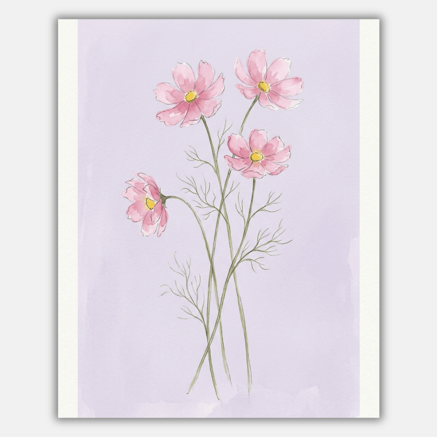 Cosmos Pink PicturaNumbers