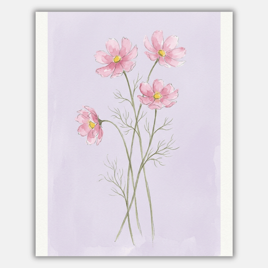 Cosmos Pink PicturaNumbers