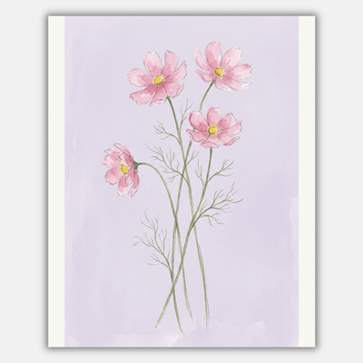 Cosmos Pink