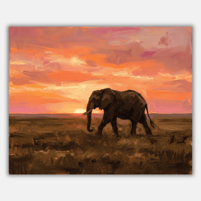 Elephant Sunset Walk
