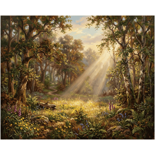 Forest Clearing Light PicturaNumbers