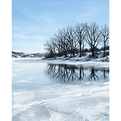 Frozen Lake Bare Trees