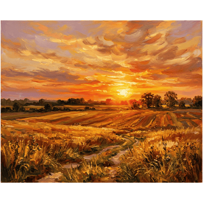 Golden Sunset Field