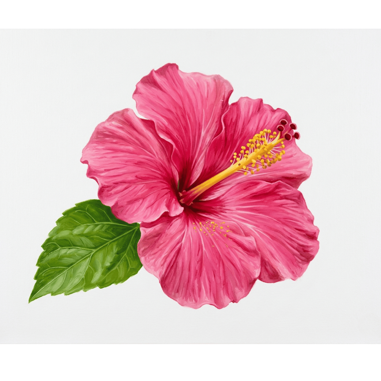 Hibiscus Pink Bloom PicturaNumbers