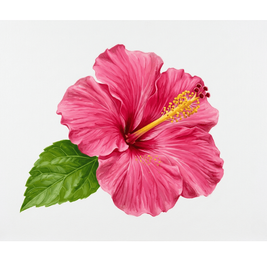 Hibiscus Pink Bloom PicturaNumbers