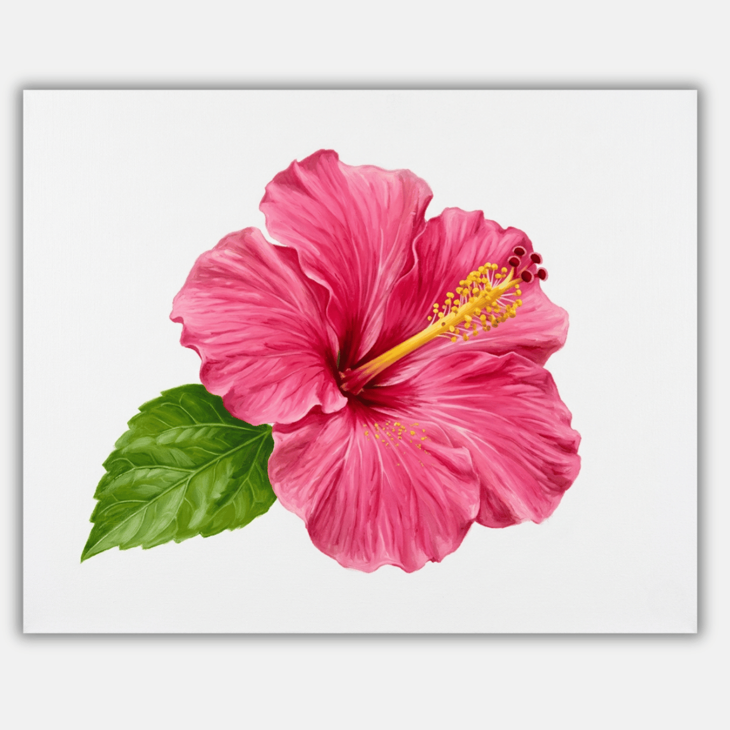Hibiscus Pink Bloom PicturaNumbers