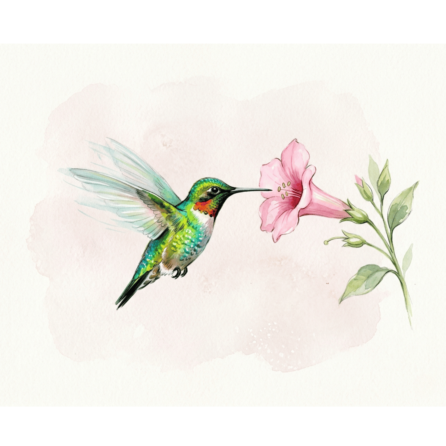 Hummingbird Flower PicturaNumbers