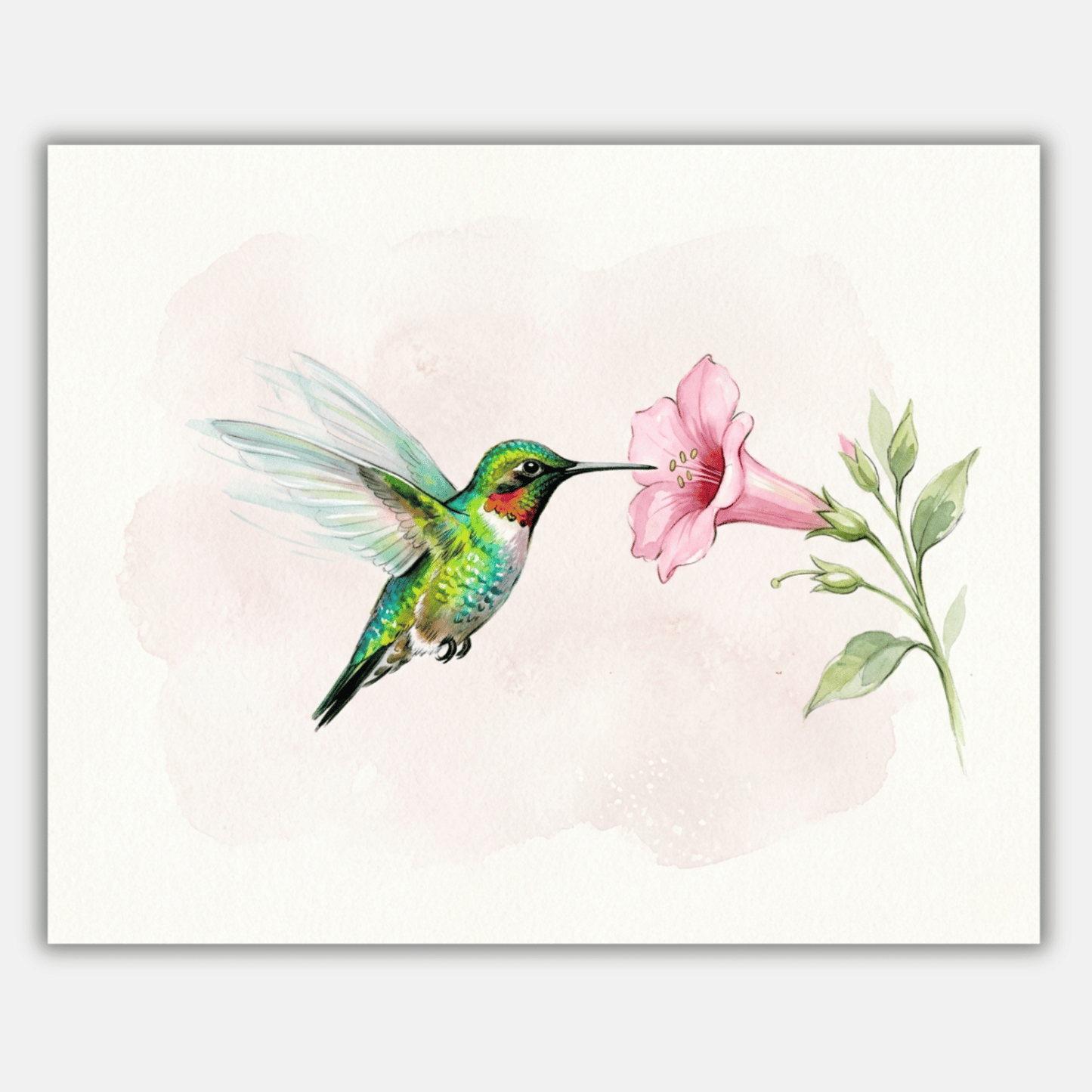 Hummingbird Flower PicturaNumbers