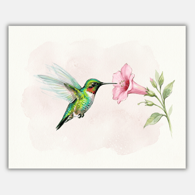 Hummingbird Flower