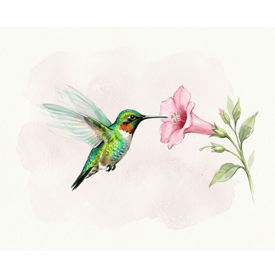Hummingbird Flower