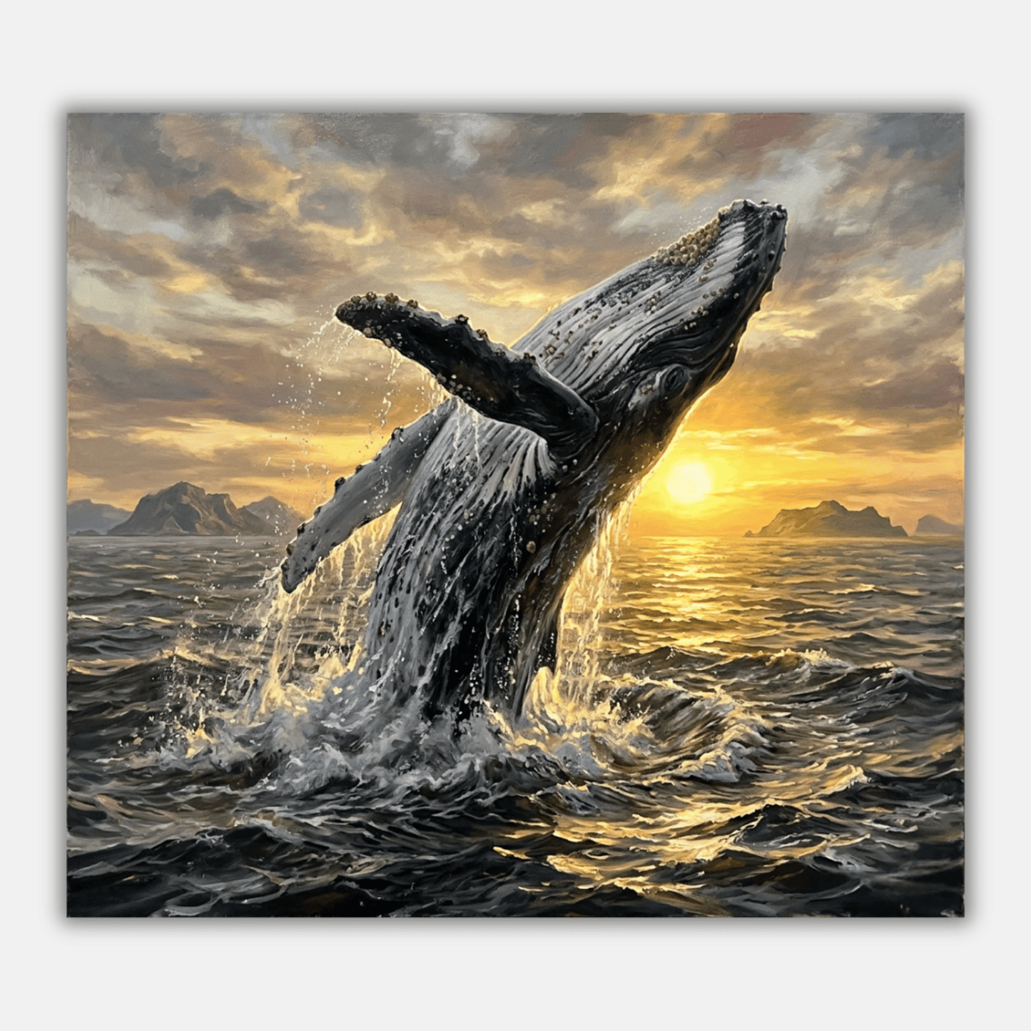 Humpback Ocean Breach PicturaNumbers