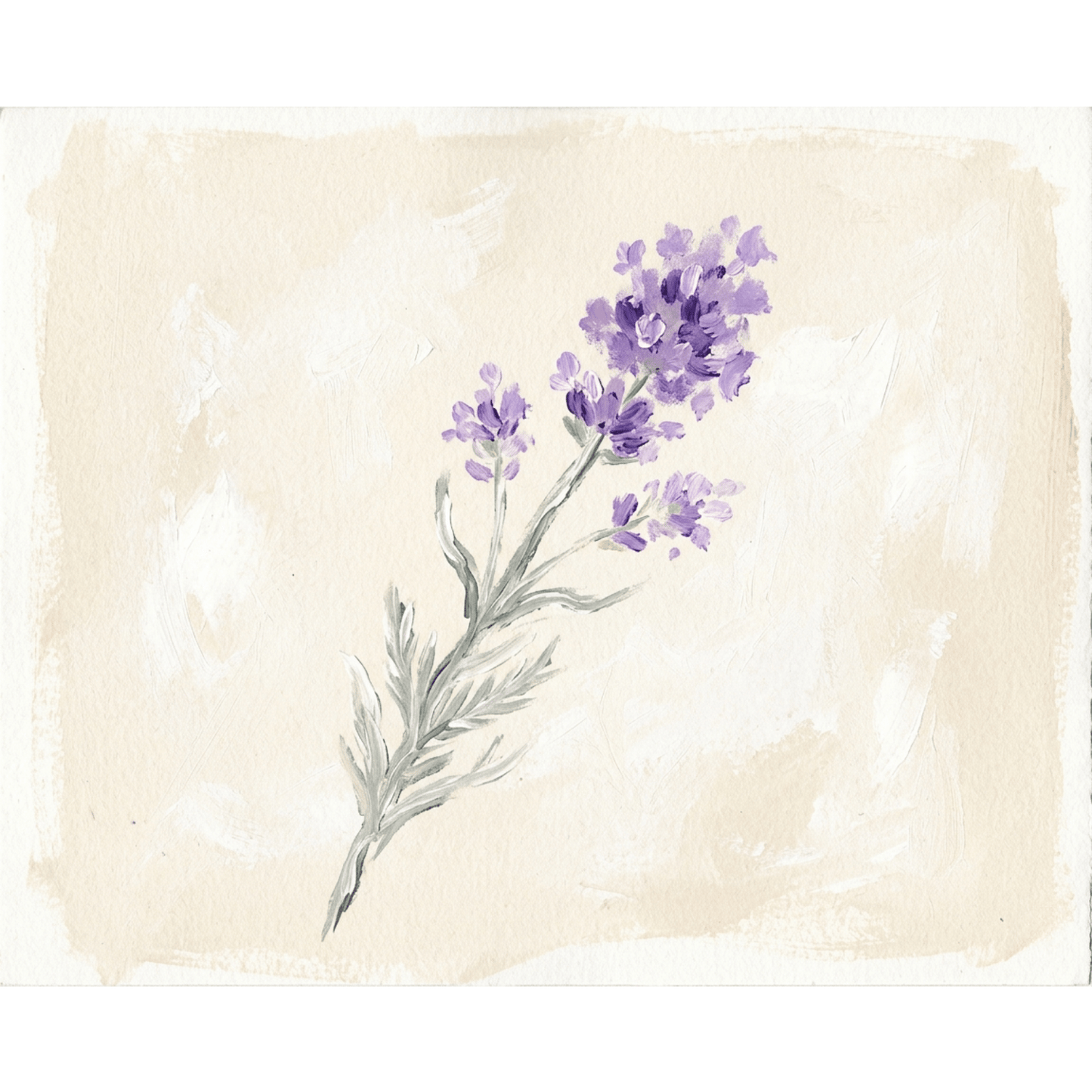 Lavender Single Stem PicturaNumbers