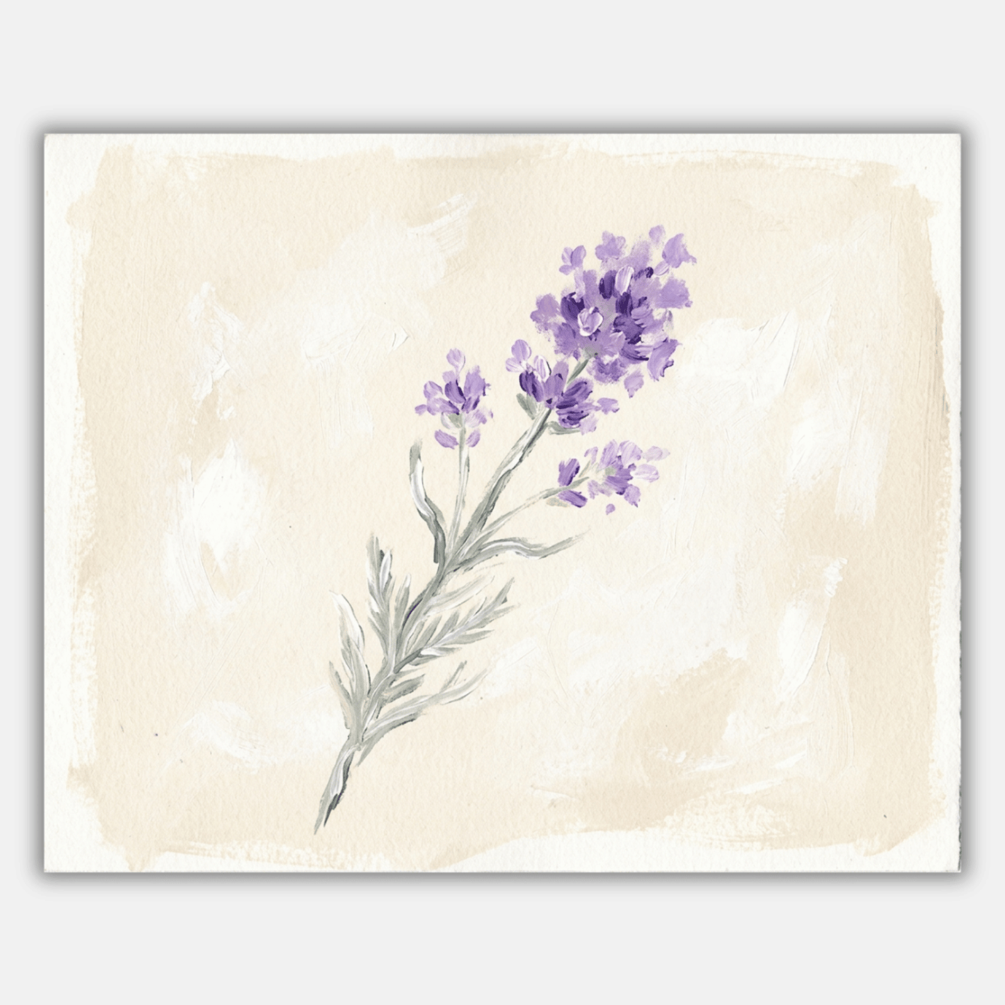 Lavender Single Stem PicturaNumbers