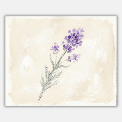 Lavender Single Stem