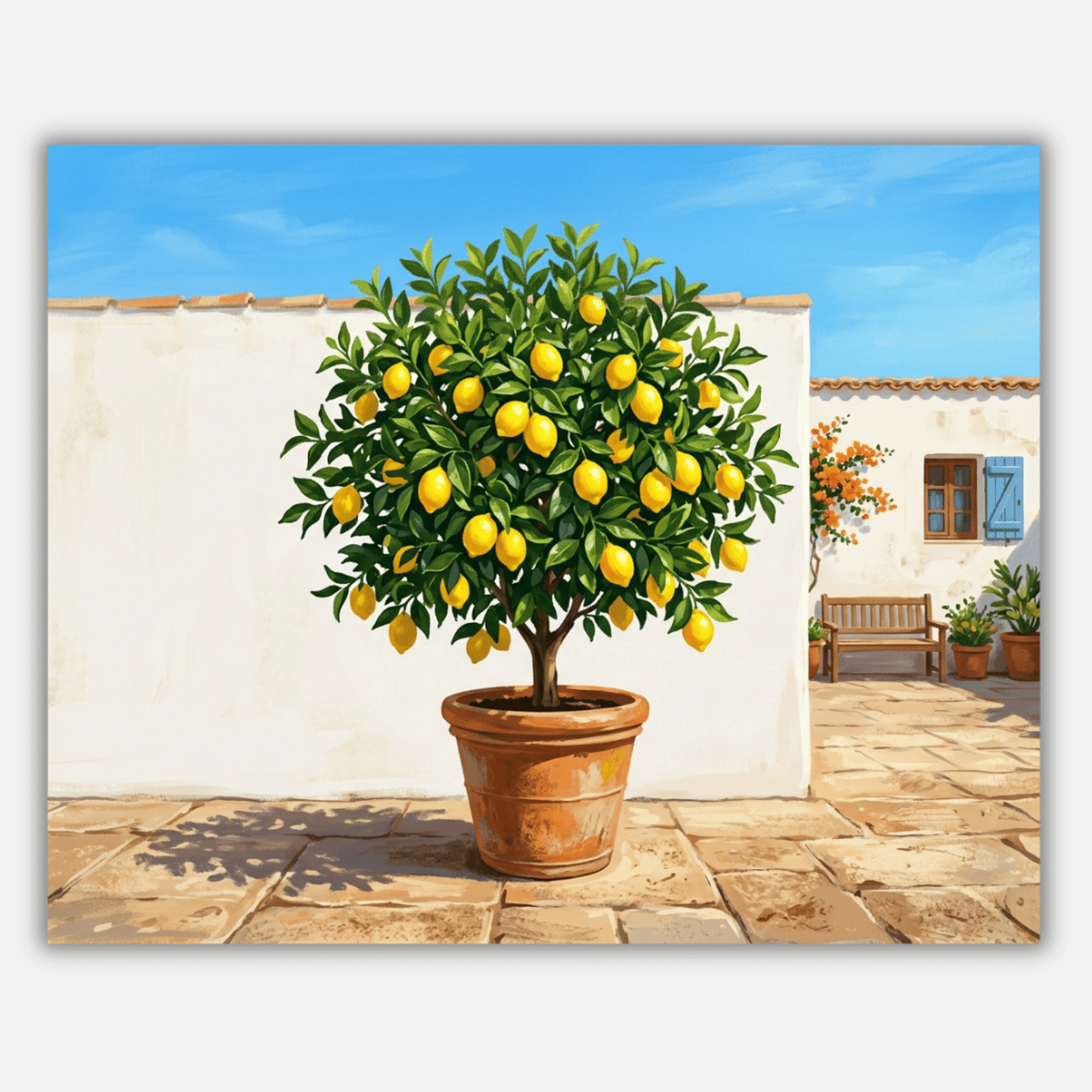 Lemon Tree Courtyard PicturaNumbers