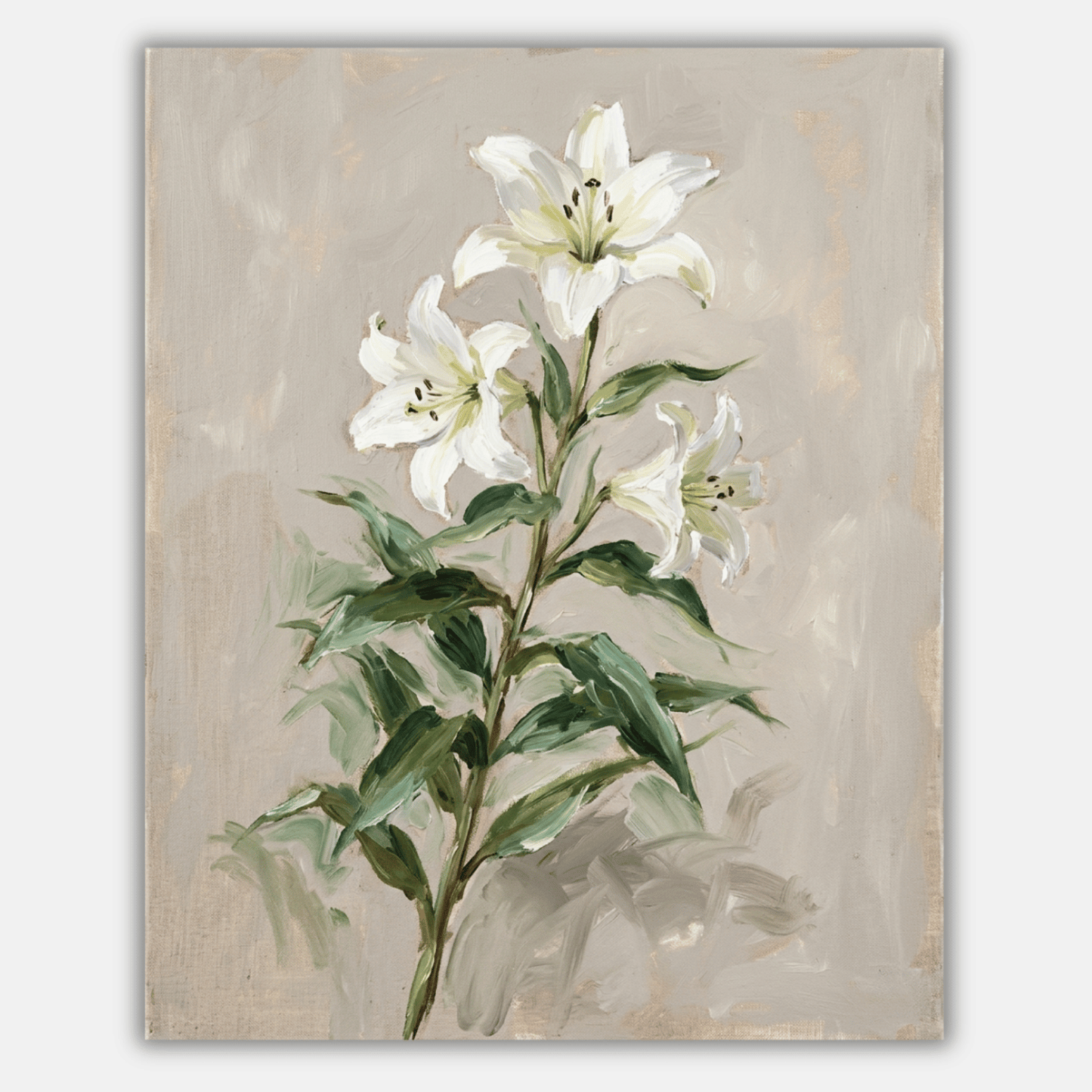 Lily White Stem PicturaNumbers