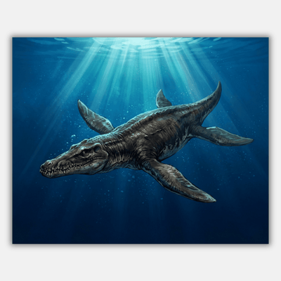 Liopleurodon Open Water