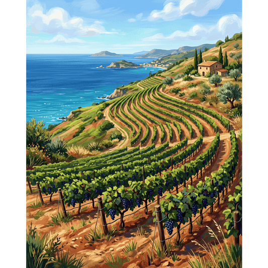 Mediterranean Vineyard Hillside PicturaNumbers