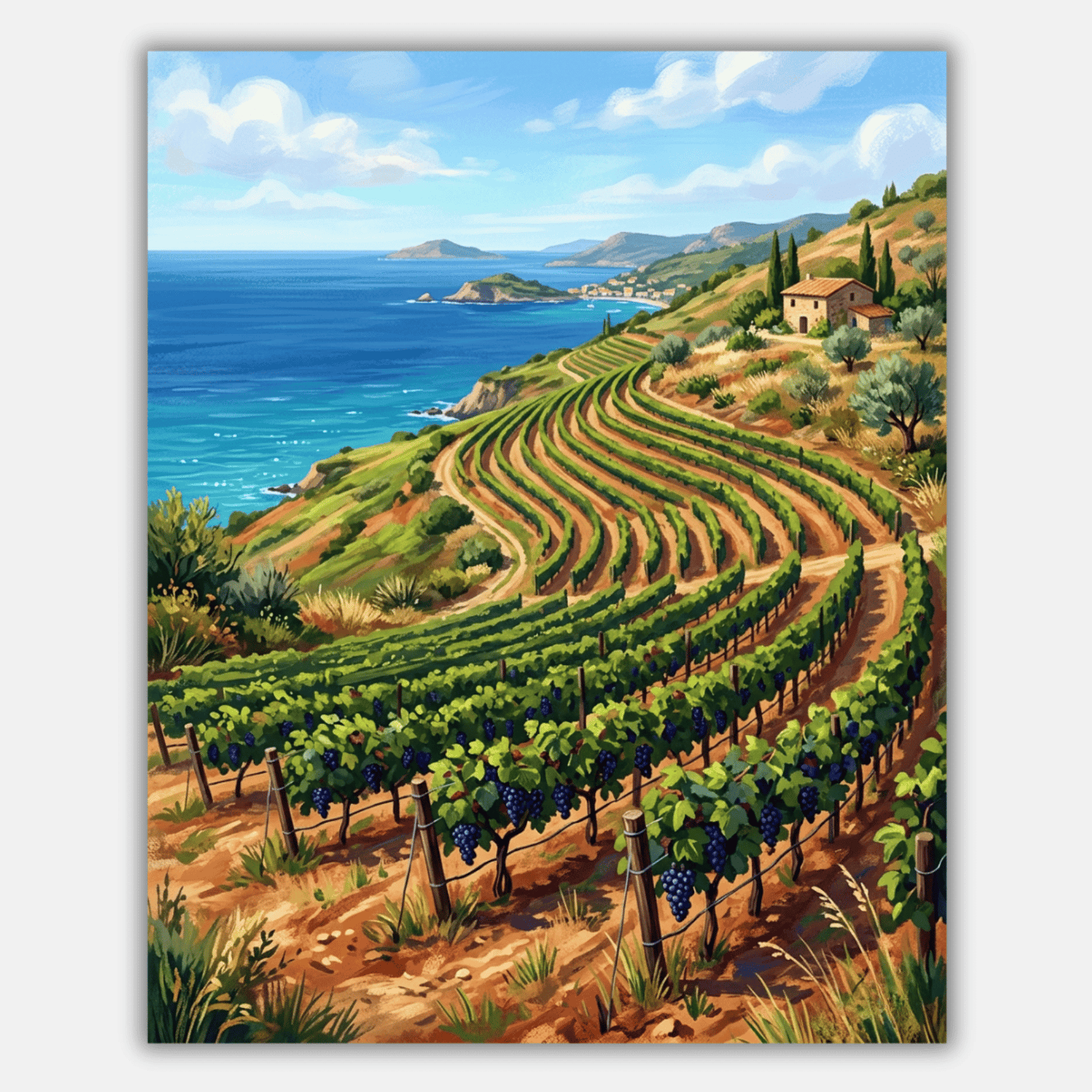 Mediterranean Vineyard Hillside PicturaNumbers