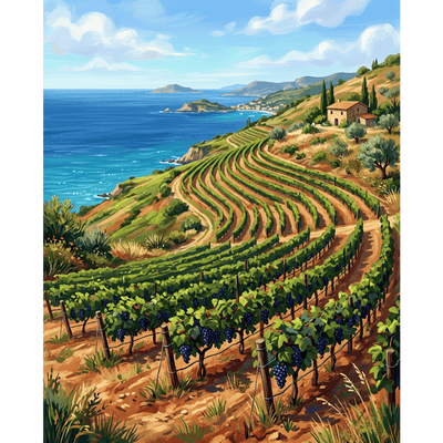 Mediterranean Vineyard Hillside