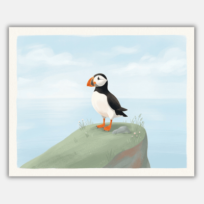 Puffin Cliff Top