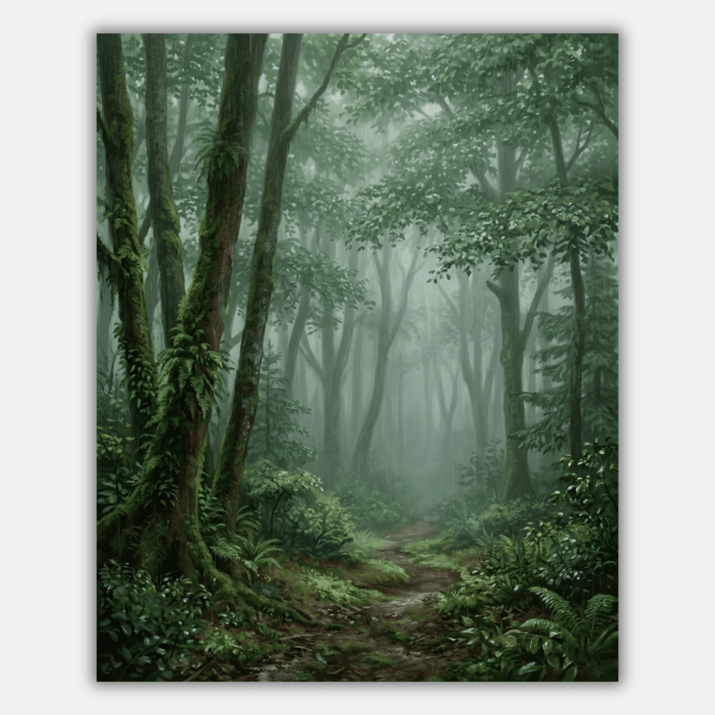 Rainy Forest View PicturaNumbers
