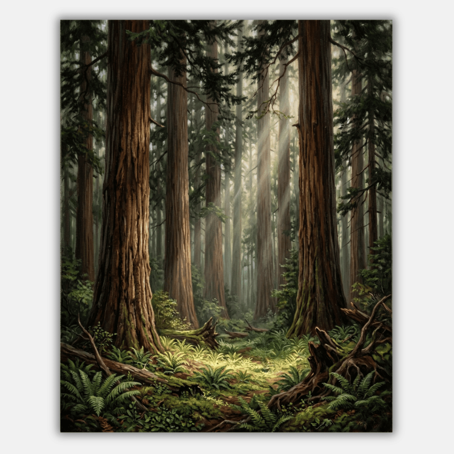 Redwood Grove PicturaNumbers