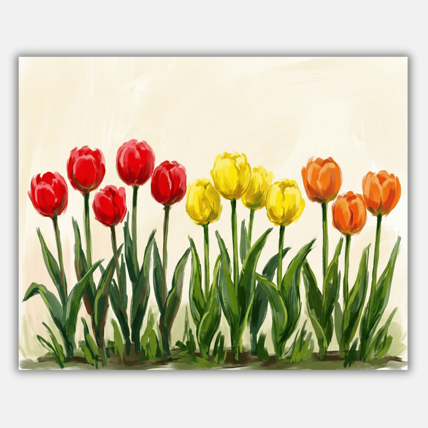 Row Of Tulips PicturaNumbers