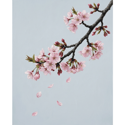 Single Cherry Blossom Branch