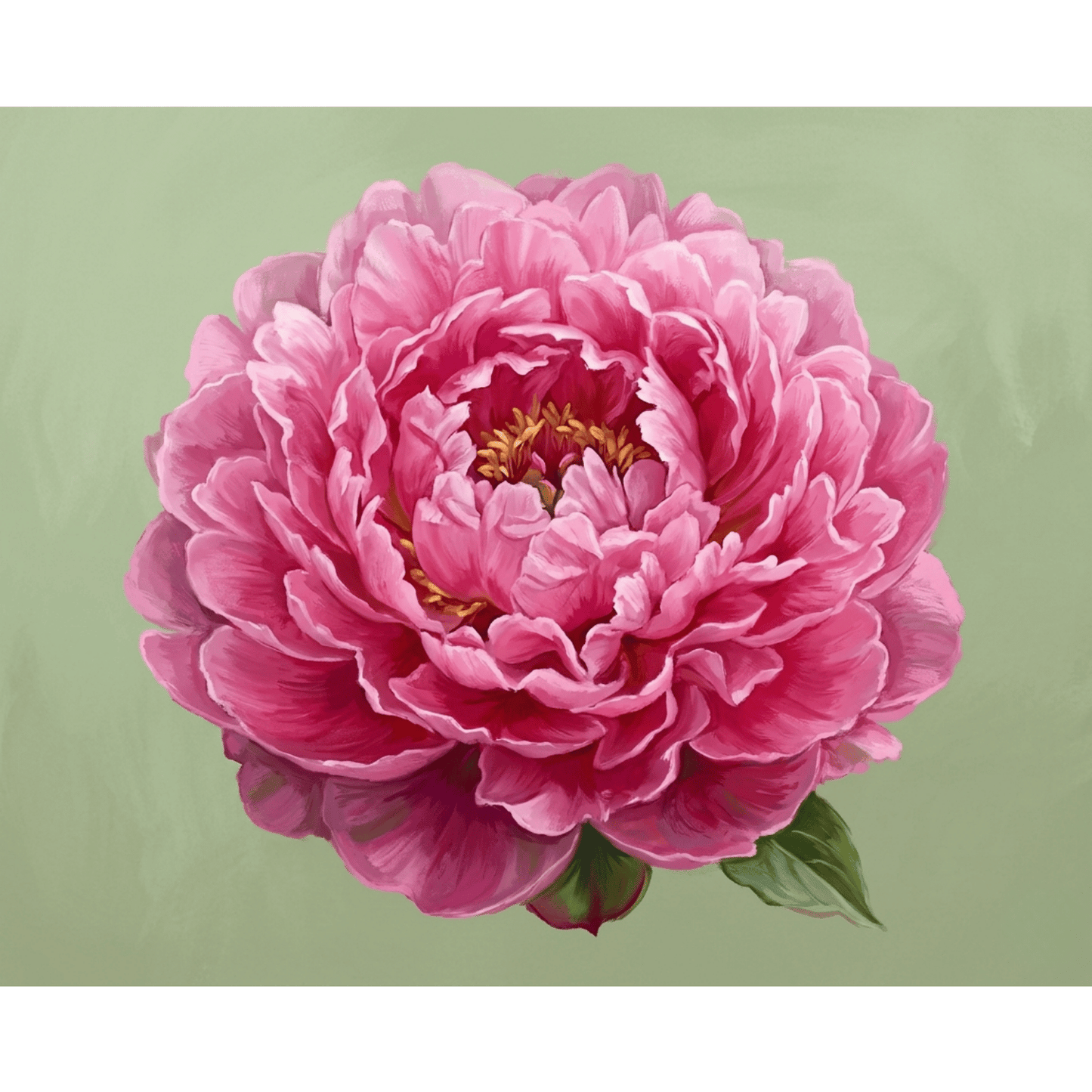 Single Pink Peony PicturaNumbers