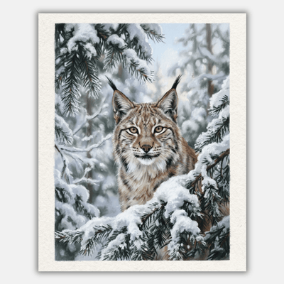 Snow Lynx