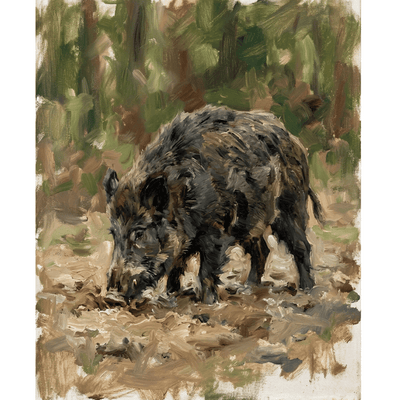 Stocky Wild Boar