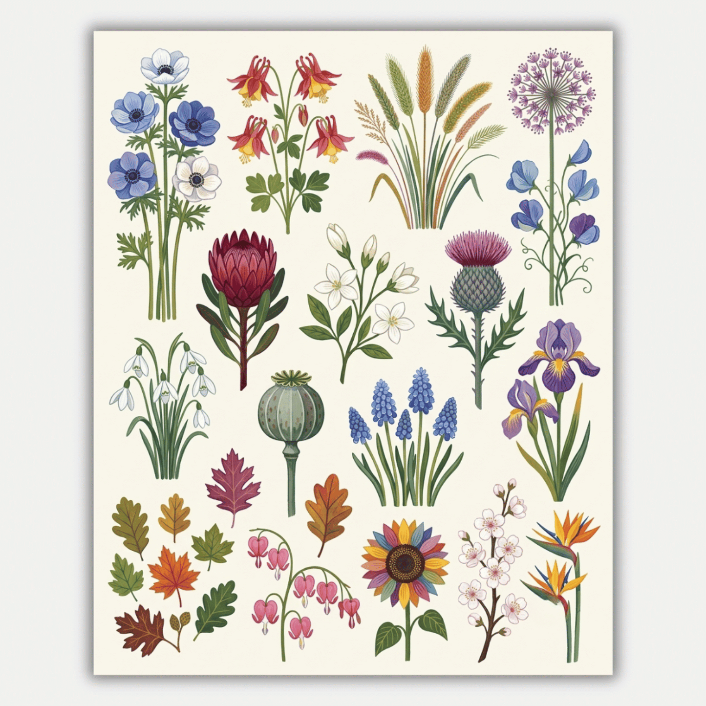 The Illustrated Garden PicturaNumbers