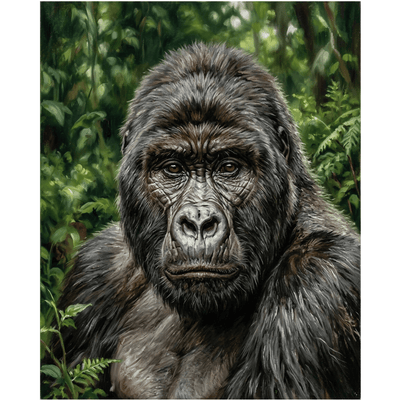Vivid Gorilla
