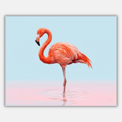 Wading Flamingo